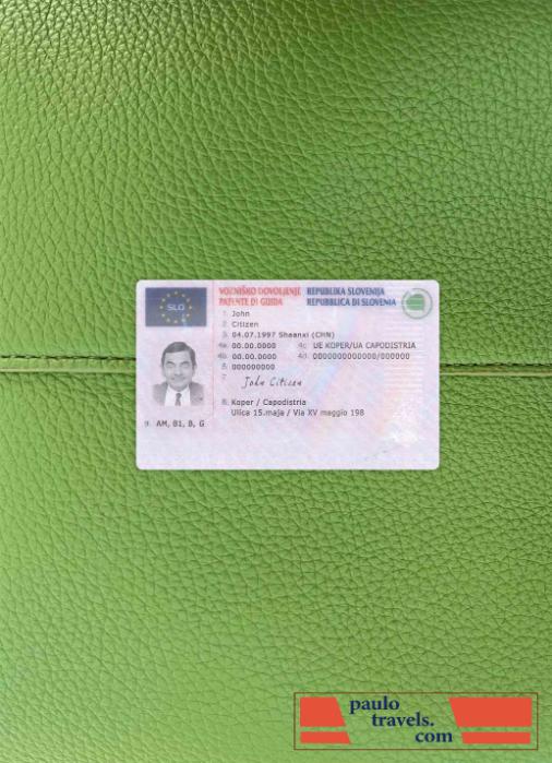 Slovenia driving license photolook FRONT PSD template